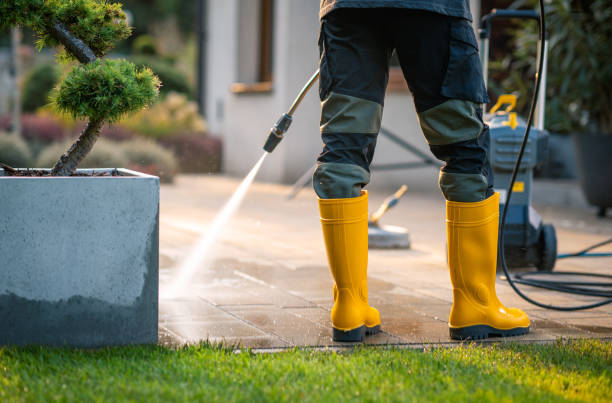 Best Roof Pressure Washing  in Sylva, NC